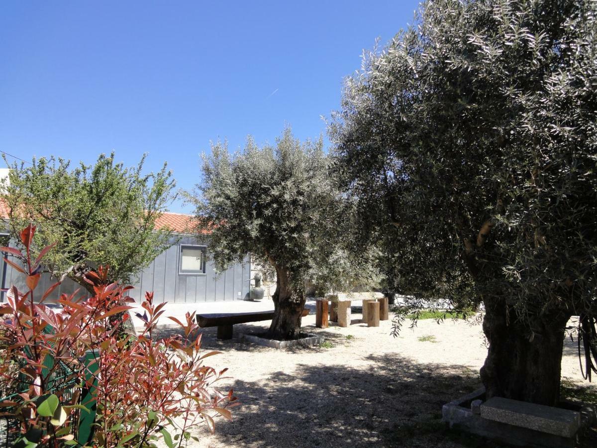 Casas Do Mondego Guest House Porto da Carne ภายนอก รูปภาพ
